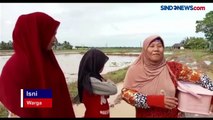 Viral Jalan Rusak, Guru SD Terpeleset dan Terjun ke Sawah di Pandeglang