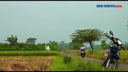 Semeru Kembali Erupsi, Abu Vulkanik Mengarah ke Pronojiwo