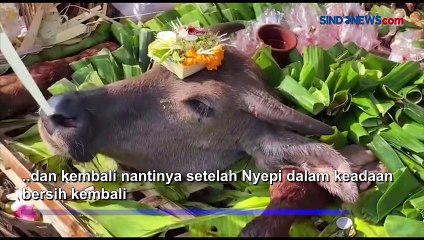Sehari Jelang Nyepi, Warga Buleleng Gelar Upacara Tawur Kesanga