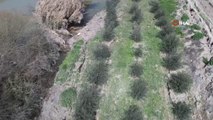 Fay hattının ikiye böldüğü çiftlik havadan görüntülendi