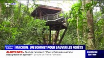 Au Gabon, Emmanuel Macron va co-présenter un sommet pour sauver les forêts