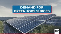 India's Green Job Postings Surged 81% In January