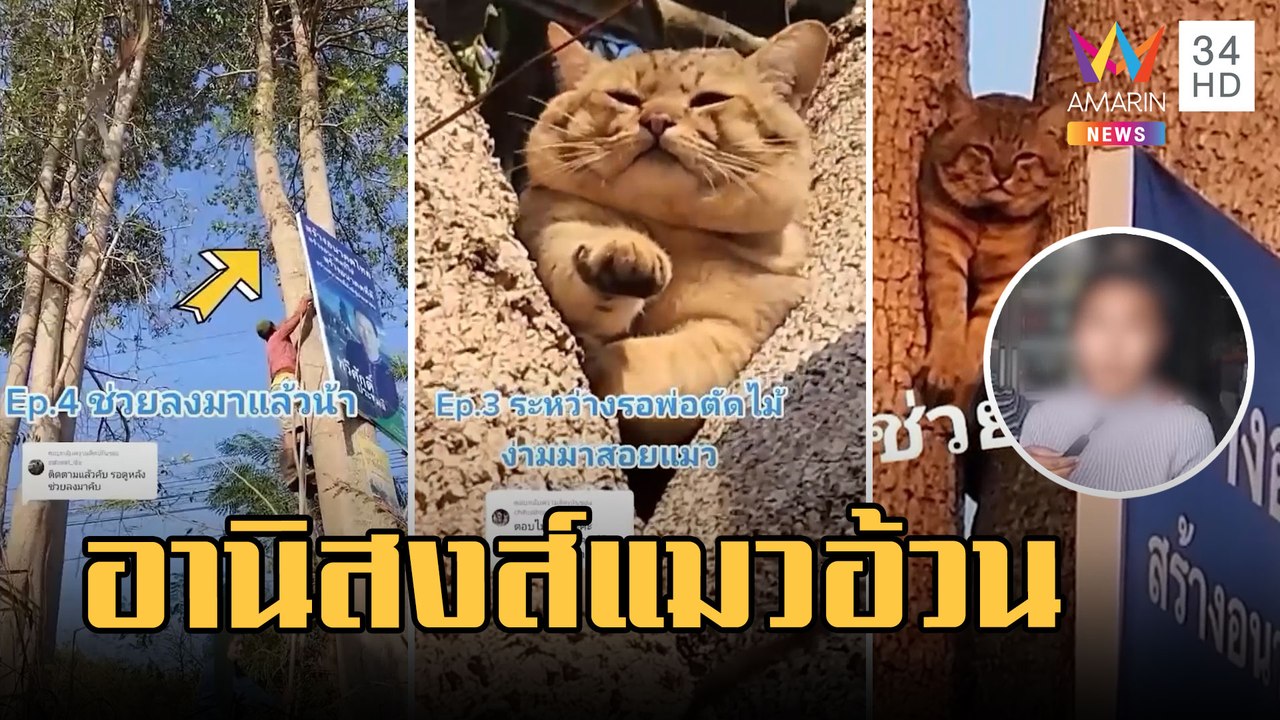 สาวช่วยแมวอ้วนติดต้นไม้ ได้อานิสงส์เพิ่งรู้เป็นเมียน้อย | ข่าวเที่ยงอมรินทร์ | 1 มี.ค.66