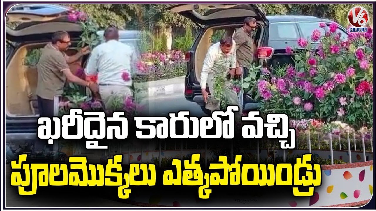 Two Men Steal Flower Pots  Set Up For  G-20 Meeting in Gurugram  _Haryana _V6 News