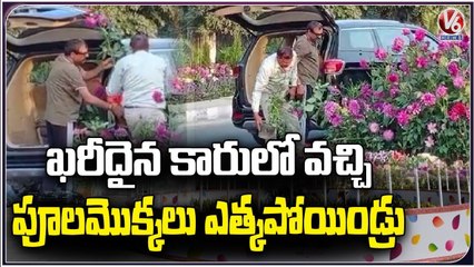 Two Men Steal Flower Pots  Set Up For  G-20 Meeting in Gurugram  _Haryana _V6 News