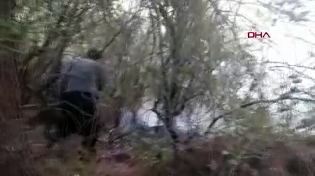 Osmaniye'nin Kadirli ilçesinde çıkan orman yangınında 8 dönümlük alan zarar gördü