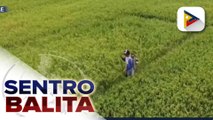 Paggamit ng biofertilizer ng mga magsasaka, target ng pamahalaan ayon kay PBBM