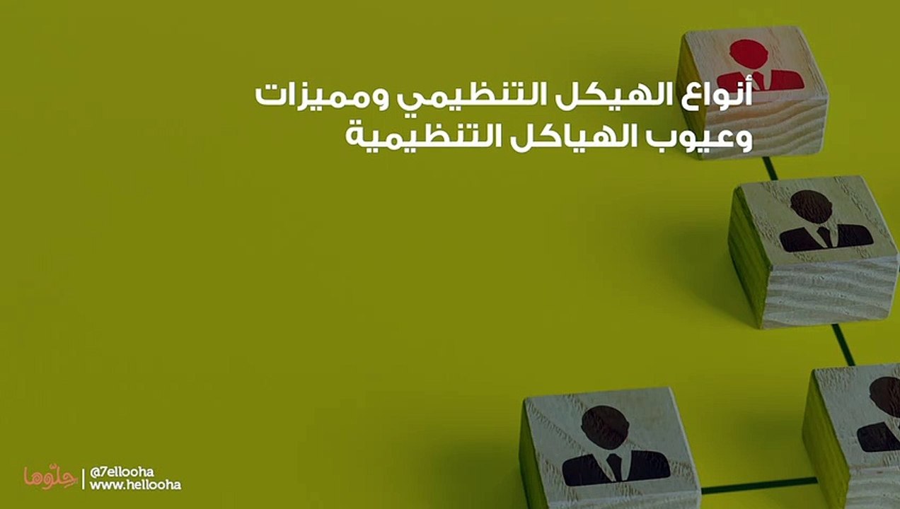 أنواع الهيكل التنظيمي ومميزات وعيوب الهياكل التنظيمية