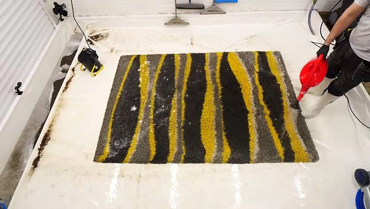 Watch How This Flooded Rug Gets Cleaned