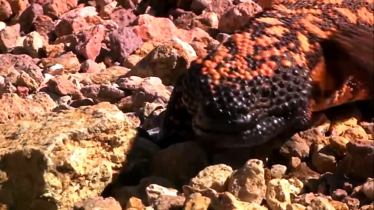 Electric Dirt Bikes .net - The Better Way To Ride