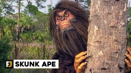 12 Unexplainable Creatures Caught On Camera