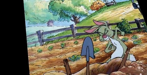 The New Adventures of Winnie the Pooh S01 E24