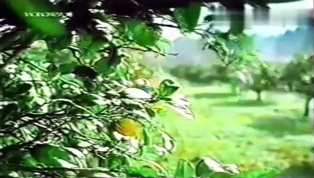 Salus Limonada - Publicidad uruguaya (2004)
