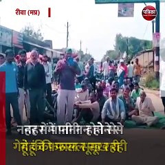 रीवा (मप्र): संयुक्त किसान मोर्चा ने किया प्रदर्शन