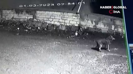Güvenlik kamerası o anlar kaydetti! Gece vakti köyü böyle bastılar