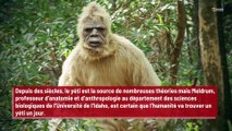 Un expert affirme avoir la preuve irréfutable de l’existence du yéti !