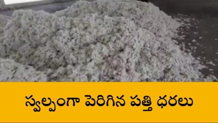 హుజురాబాద్: స్వల్పంగా పెరిగిన పత్తి ధరలు