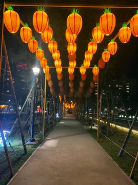 台灣燈會在台北胡蘿蔔燈籠夜空中閃爍 #忠駝論壇 #fyp #蔡英文 #fypシ #foryoupage #happy #youtubeshorts #asmr #best #cute #foryou #viral #trending