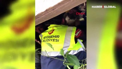 Hatay'da 23 gün sonra 'Aleks' adlı köpek, enkazdan kurtarıldı