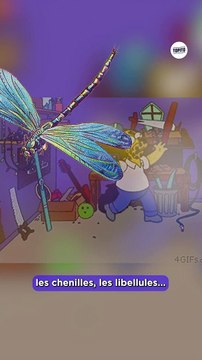 Pourquoi on a peur des insectes ?