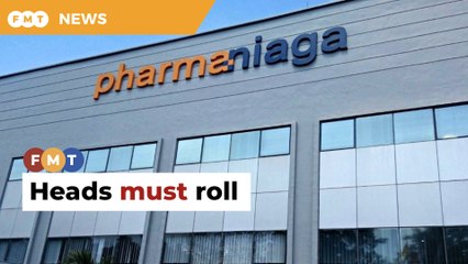 Heads must roll over Pharmaniaga’s PN17 classification, says MP