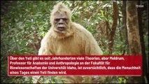 Experte: Endgültige Beweise für die Existenz des Yeti?