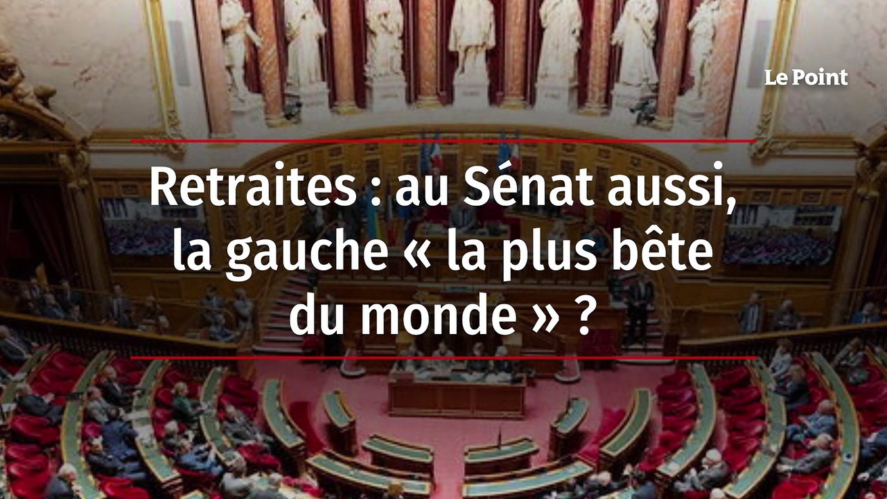 Retraites : au Sénat aussi, la gauche « la plus bête du monde » ?