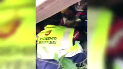 Hatay'da 23'üncü gün mucizesi! Aleks adındaki köğek enkazdan kurtarıldı