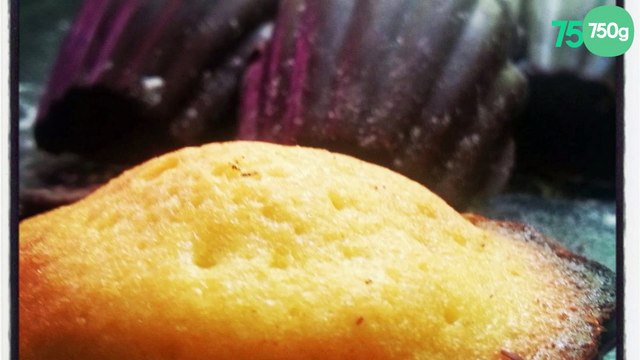 Madeleines au citrons en coque de chocolat noir sans lactose