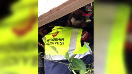 Depremden 23 gün sonra 'Aleks' enkazdan kurtarıldı