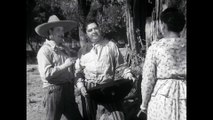 ¡Vámonos con Pancho Villa! - Cine en línea película