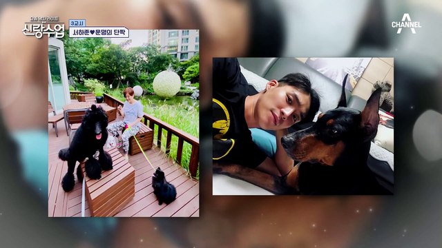 하준이 직접 구조했던 운명의 단짝 반려견 '로키'! 강아지 사랑 남다른 하준의 유기견 봉사♥