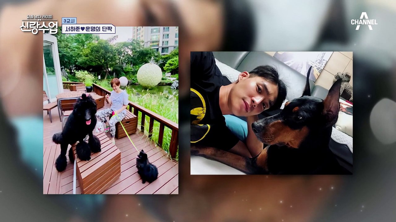 하준이 직접 구조했던 운명의 단짝 반려견 '로키'! 강아지 사랑 남다른 하준의 유기견...