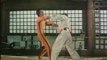 Bruce Lee n?3 : Jeet Kune Do