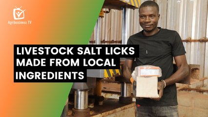 Burkina Faso: Livestock salt licks made from local ingredients