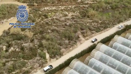 66 identificados y 4 detenidos en inspección de trabajo de finca en Alicante