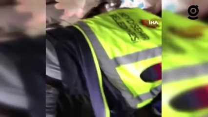 “Aleks” adlı köpek depremden 22 gün sonra Hatay'da enkazdan çıkarıldı