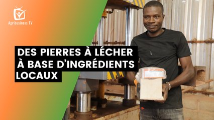Burkina Faso : Des pierres à lécher à base d’ingrédients locaux