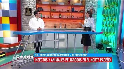 ¿Qué medidas tomar para evitar la picadura de insectos peligrosos?
