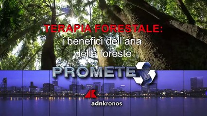 Prometeo Tv n.9 dell'1 febbraio 2023