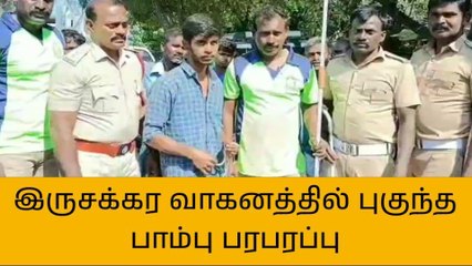 தூத்துக்குடி: பைக்கில் புகுந்த கொம்பேரி மூக்கன் பாம்பு..!