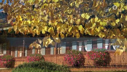 Sturm der Liebe Folge 3988 In anderem Licht