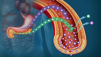 Ketogenic Diet Plan for Beginners - Dr. Berg