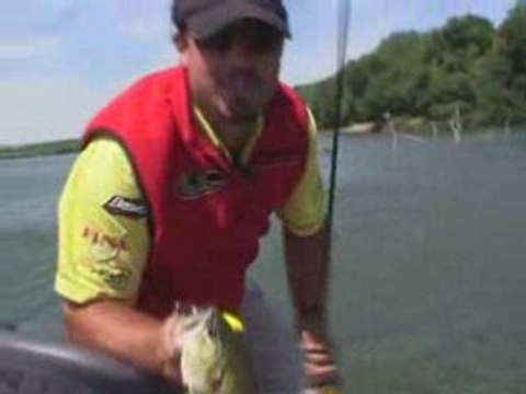 Carnassiers aux Leurres