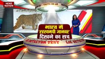 LIE DETECTOR TEST : भारत में रहस्यमयी जानवर दिखने का सच