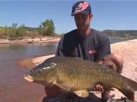 Carpes en grands lacs - tome 2