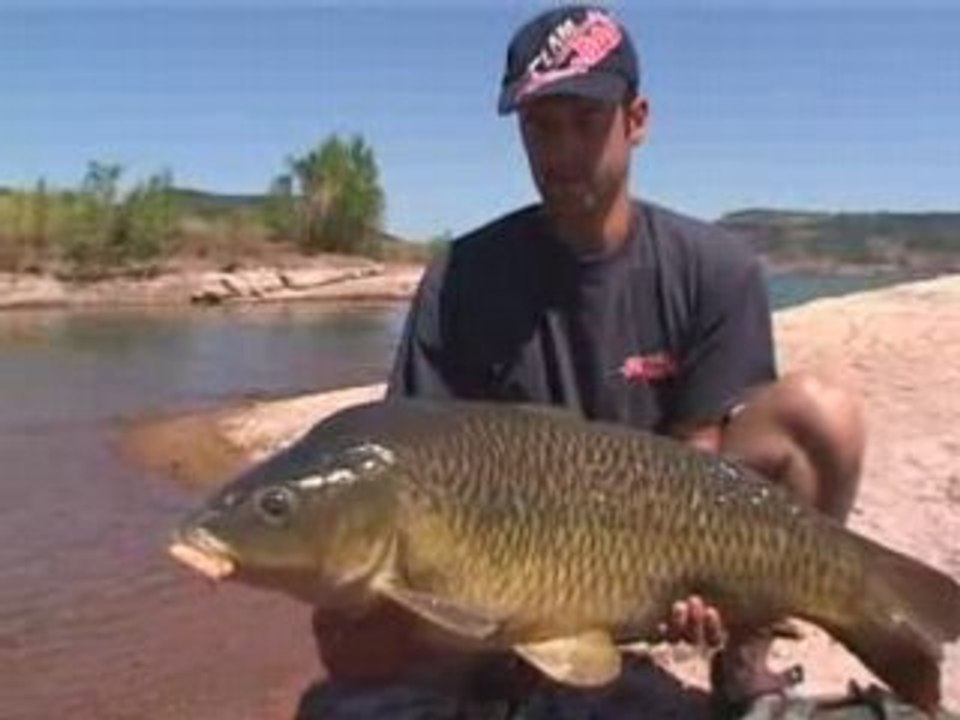 Carpes en grands lacs - tome 2
