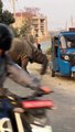 Rhino Runs Through the Streets of Nepal