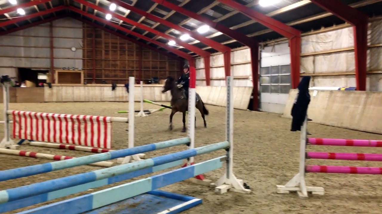 Fall During A Horse Jumping Lesson