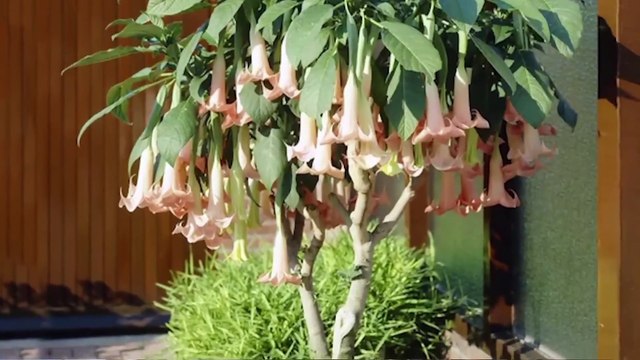 A Lição Parte 2 (The Glory) Está prestes a mudar tudo!